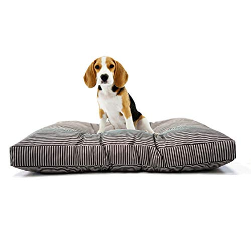 Tecnocuci Hundekissen, mittelgroß, 100% Made in Italy – Hundebett für den Innenbereich – leicht waschbar von TECNOCUCI