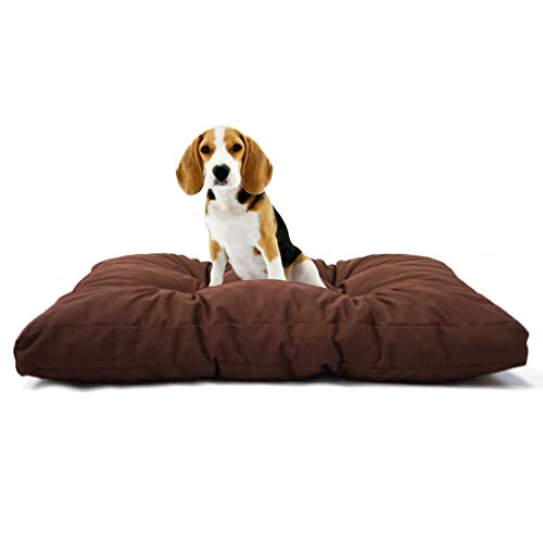 Tecnocuci Hundekissen, mittelgroß, 100% Made in Italy – Hundebett für den Innenbereich – leicht waschbar von TECNOCUCI