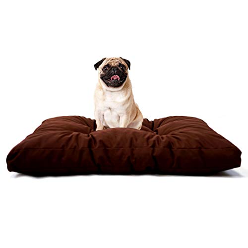 TECNOCUCI Hundekissen für kleine Hunde, 100% Made in Italy – Hundebett für den Innenbereich – leicht waschbar TECNOCUCI Hundekissen für kleine Hunde, 100% Made in Italy – Hundebett für den Innenbereich – leicht waschbar von TECNOCUCI