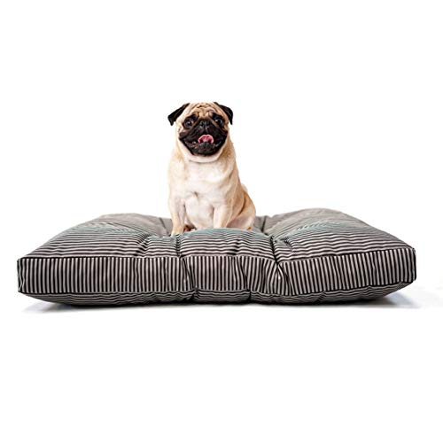 Tecnocuci Hundekissen für kleine Hunde, 100% Made in Italy – Hundebett für den Innenbereich – leicht waschbar Tecnocuci Hundekissen für kleine Hunde, 100% Made in Italy – Hundebett für den Innenbereich – leicht waschbar von TECNOCUCI