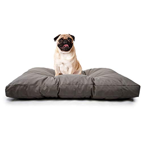 Tecnocuci Hundekissen für kleine Hunde, 100% Made in Italy – Hundebett für den Innenbereich – leicht waschbar Tecnocuci Hundekissen für kleine Hunde, 100% Made in Italy – Hundebett für den Innenbereich – leicht waschbar von TECNOCUCI