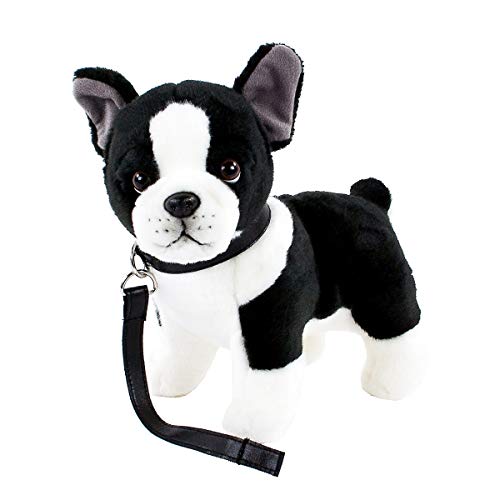 Kuscheltier Französische Bulldogge/Boston Terrier mit Halsband und Leine 25 cm schwarz/weiß gescheckt Plüschhund Kuscheltier Französische Bulldogge/Boston Terrier mit Halsband und Leine 25 cm schwarz/weiß gescheckt Plüschhund von Teddys Rothenburg
