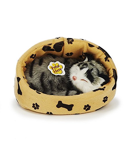 Teddys Rothenburg Katze im Körbchen, 16 cm, grau/beige, Plüschkatze in Korb Teddys Rothenburg Katze im Körbchen, 16 cm, grau/beige, Plüschkatze in Korb von Teddys Rothenburg