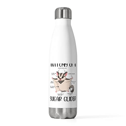 Isolierte Flasche, 590 ml, lustige Anatomie des Segelflugzeugs, pelzige Säugetiere, Haustiere, Enthusiasten, Gleiten, exotisches Haustier, 590 ml Isolierte Flasche, 590 ml, lustige Anatomie des Segelflugzeugs, pelzige Säugetiere, Haustiere, Enthusiasten, Gleiten, exotisches Haustier, 590 ml von Teegarb Letter Blanket