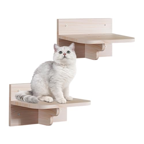 Kletterwand Katzen, Katzenwandmöbel Set Aus Holz, Katzen-Wandmöbel Katzenbrett Sitzstangen für Wand Kletterstufe Katze Wand Kletterregal Spielplatz Innen Wandmontage (2 Plattform Katzen Wandmöbel) von Teeloray