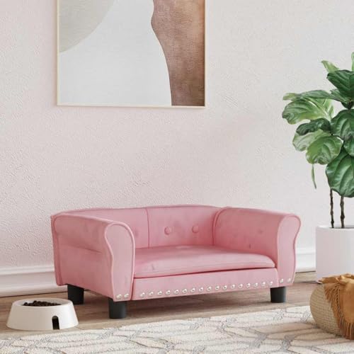 Teenpull Hundebett Rosa 70x45x30 cm, Weiches Samt-Hundesofa für Kleine Hunde, Gemütliche Haustierliege mit Robustem Kiefernholzrahmen, Stilvolles Indoor-Möbelstück, Waschbares Kissen für Welpen Teenpull Hundebett Rosa 70x45x30 cm, Weiches Samt-Hundesofa für Kleine Hunde, Gemütliche Haustierliege mit Robustem Kiefernholzrahmen, Stilvolles Indoor-Möbelstück, Waschbares Kissen für Welpen von Teenpull