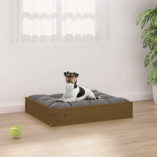 Teenpull Hundebett aus massivem Kiefernholz, honigbraun, 51,5x44x9 cm, Robustes Haustier-Sofa für Hunde, gemütlicher Schlafplatz im Innenbereich Teenpull Hundebett aus massivem Kiefernholz, honigbraun, 51,5x44x9 cm, Robustes Haustier-Sofa für Hunde, gemütlicher Schlafplatz im Innenbereich von Teenpull