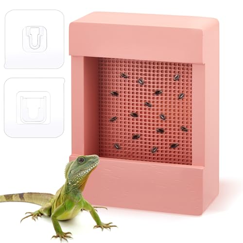 Teenyyou Chamäleon Bartdrache Käfer Schüssel Holz Futterspender Insekten Reptilien Box mit Gitterplatte für Fütterung Gecko Eidechse Frosch Aquarium Zubehör (Rosa) von Teenyyou