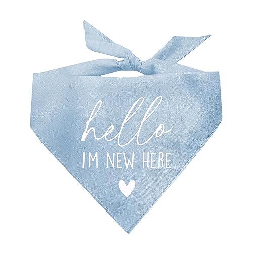 Hello I'm New Here Hundehalstuch, Babyblau, XS 1109 Hello I'm New Here Hundehalstuch, Babyblau, XS 1109 von Tees & Tails