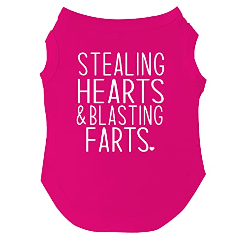 Hunde-T-Shirt mit Aufschrift "Stealing Hearts & Blasting Farts", Größen für Welpen, Spielzeug und große Rassen, Hot Pink, Größe 6XL 983 Hunde-T-Shirt mit Aufschrift "Stealing Hearts & Blasting Farts", Größen für Welpen, Spielzeug und große Rassen, Hot Pink, Größe 6XL 983 von Tees & Tails