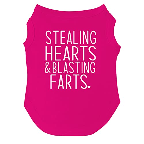 Hunde-T-Shirt mit Aufschrift "Stealing Hearts & Blasting Farts", Größen für Welpen, Spielzeug und große Rassen, Hot Pink, Größe M 983 von Tees & Tails