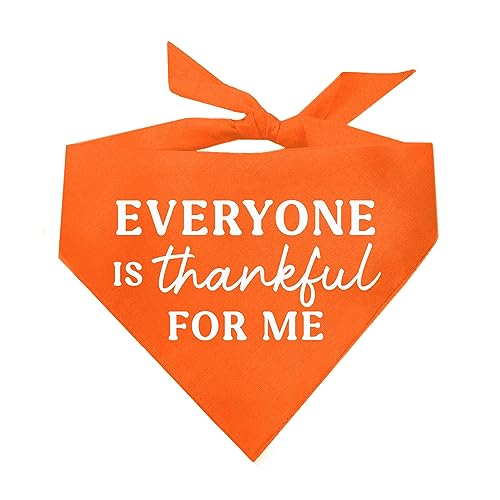 Hundehalstuch "Everyone is Thankful for Me", Orange, OS 1110 von Tees & Tails