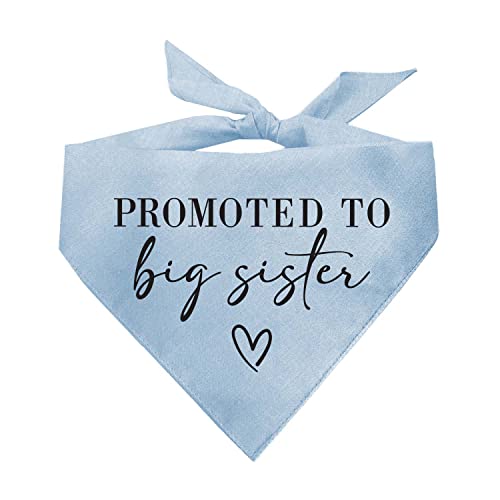 Promoted to Big Sister Hundehalstuch, 100 % Baumwolle, verstellbares Dreieck, Schwangerschaftsankündigung, Fotoshooting-Requisite, hergestellt in den USA, Babyblau, Einheitsgröße (692) von Tees & Tails