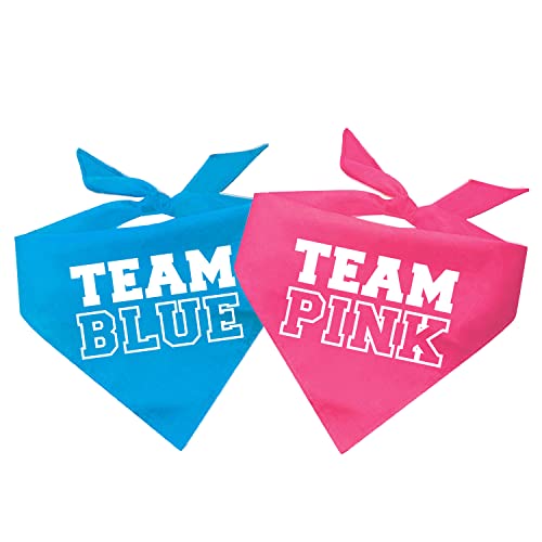 Team Color Bright Gender Reveal Baby Ankündigung Team Girl Team Boy Hundehalstuch (Team Pink & Team Blue, Einheitsgröße) von Tees & Tails