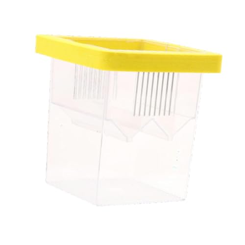 Schwimmende Schlüpfbox Fischzüchterbox Fischzuchtkasten Fischgarten Quadratische Trennung Trennwand Inkubationsbox für Guppy Fisch Garnelen, Blau (Gelb) von Teesea
