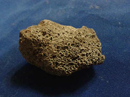 Teichbauzentrum Sankt Julian 50 Lavasteine Aquarium o. Terrarium 3,0-6,0 cm Dekoration Natursteine Steine 0,35 Euro je Stein incl. Versand von Teichbauzentrum Sankt Julian