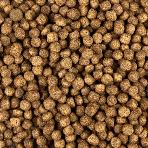 All Season Koifutter 6mm - schwimmendes Ganzjahres Futter für Koi und Teichfische für ausgewogene Fisch-Ernährung mit Fischöl, Astaxanthin (13,5 kg) von Teichpoint
