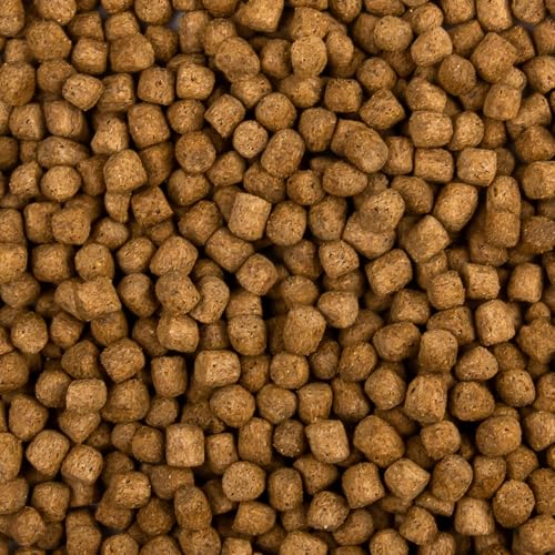 Koifutter Top-Koi Wachstumsfutter für Koi 15kg 6mm schwimmendes Ganzjahres Futter für Koi und Teichfische für ausgewogene Fisch-Ernährung mit Fischöl Koifutter Top-Koi Wachstumsfutter für Koi 15kg 6mm schwimmendes Ganzjahres Futter für Koi und Teichfische für ausgewogene Fisch-Ernährung mit Fischöl von Teichpoint