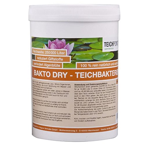 Teichpoint 500 g Bakto Dry Teich - Billionen von Mikro-Organismen von Teichpoint