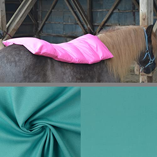 Teichwerk Dinkelspelzkissen Wärmekissen für Pferde Ponys Esel 1 farbig Mint Füllung Premium Plus 70x68 von Teichwerk