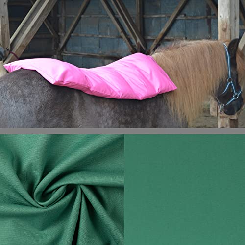 Teichwerk Dinkelspelzkissen Wärmekissen für Pferde Ponys Esel 1 farbig Smaragd Füllung Premium Plus 70x68 von Teichwerk