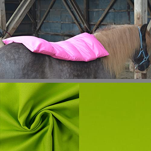 Teichwerk Dinkelspelzkissen Wärmekissen für Pferde Ponys Esel 1 farbig Hellgrün Füllung Premium 110x68 von Teichwerk