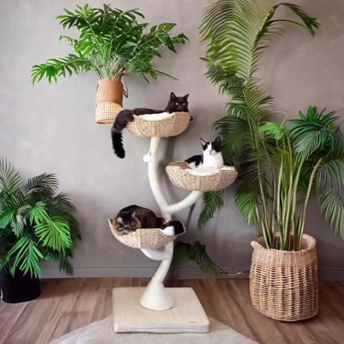 Kratzbaum aus Naturholz, Halloween-Holz, Kratzturm, Bett, Hängematte, große Größe, Katzen, perfektes Spielzeug, Kletter-Katzenbaumkorb Kratzbaum aus Naturholz, Halloween-Holz, Kratzturm, Bett, Hängematte, große Größe, Katzen, perfektes Spielzeug, Kletter-Katzenbaumkorb von TekBoost
