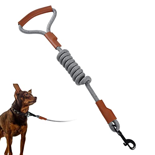 Hundetrainingsleine | Reflektierendes, strapazierfähiges Traktionsseil, Lederleine mit bequemem Griff, schützende Hundeleine für Spaziergänge, Camping, große und mittelgroße Hunde Teksome von Teksome