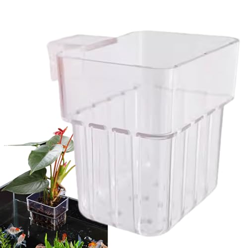 Teksome Aquarium-Pflanzkorb, transparenter Aquarium-Pflanzbecher, Aquarium-Pflanzgefäß, Wasserpflanzen-Halter für lebende Dekoration Teksome Aquarium-Pflanzkorb, transparenter Aquarium-Pflanzbecher, Aquarium-Pflanzgefäß, Wasserpflanzen-Halter für lebende Dekoration von Teksome