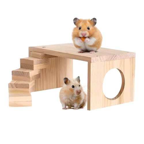 Teksome Hamster Plattformen,Kletterleiter Für Hamsterkäfig | Nagelsicheres Kleintierspielzeug Für Zwerghamster Meerschweinchen Mäuse von Teksome