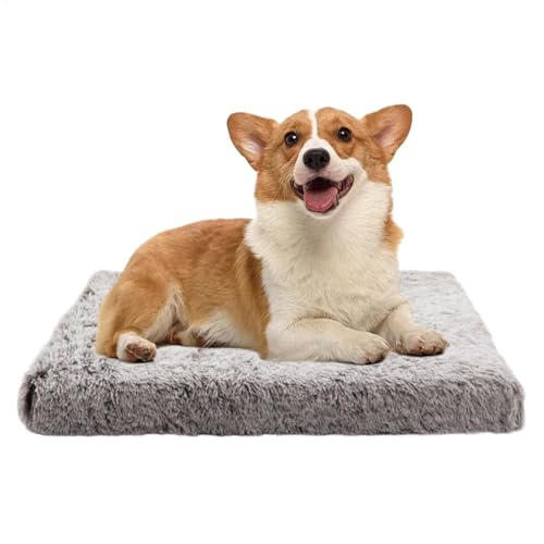 Teksome Heizkissen für Katzen,Heizkissen für Haustiere | Warme Hundebox-Unterlage | Doppelseitige Hundebox-Auflage, Nicht elektrisches Winter-Haustierbett, abnehmbar für Haustiere, Katzen, Hunde Teksome Heizkissen für Katzen,Heizkissen für Haustiere | Warme Hundebox-Unterlage | Doppelseitige Hundebox-Auflage, Nicht elektrisches Winter-Haustierbett, abnehmbar für Haustiere, Katzen, Hunde von Teksome