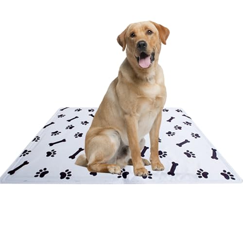 Teksome Hundekühlungsdecke, Haustierkühl Matte | Katzenhundkühlungsbett,Einfach waschbares Schlafkissen, Tieraktivitätsbett, kühles Eiskissen für Zwinger und Kistensofa Teksome Hundekühlungsdecke, Haustierkühl Matte | Katzenhundkühlungsbett,Einfach waschbares Schlafkissen, Tieraktivitätsbett, kühles Eiskissen für Zwinger und Kistensofa von Teksome