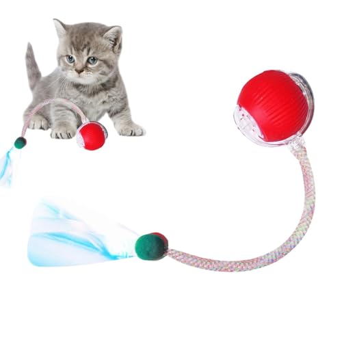 Teksome Interaktiver Katzenball, wiederaufladbarer, intelligenter interaktiver Ball für Katzen – 600 mAh Akku, Kätzchen, automatisch bewegliches Haustier-Übungsspielzeug für Indoor-Kätzchen Teksome Interaktiver Katzenball, wiederaufladbarer, intelligenter interaktiver Ball für Katzen – 600 mAh Akku, Kätzchen, automatisch bewegliches Haustier-Übungsspielzeug für Indoor-Kätzchen von Teksome