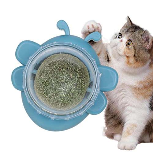 Teksome Katzenminze Wandspielzeug, Bienenform Katzenminze Roller Ball Wandspielzeug, Gesunde Bio Katzenminze, Drehbare Wandhalterung, Essbares Kätzchen Kauspielzeug für Katze Lecken, Zahnreinigung und Teksome Katzenminze Wandspielzeug, Bienenform Katzenminze Roller Ball Wandspielzeug, Gesunde Bio Katzenminze, Drehbare Wandhalterung, Essbares Kätzchen Kauspielzeug für Katze Lecken, Zahnreinigung und von Teksome