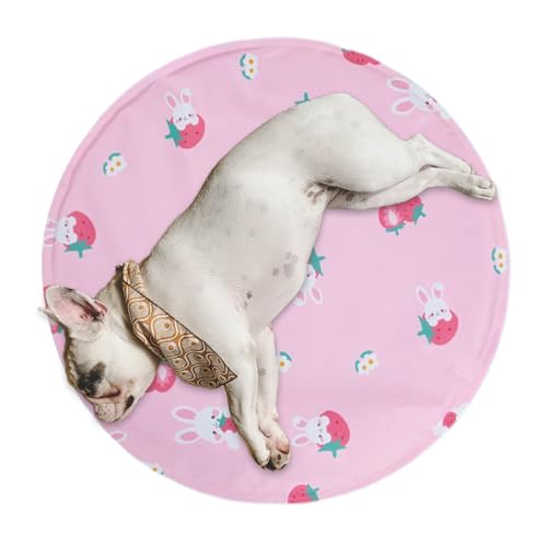 Teksome Kühlmatte für Hunde | Outdoor-Kühlmatte für Hunde – wasserdicht, rutschfest, waschbar, beruhigende Hundehütte für Outdoor, Indoor, Reisen, Auto, Camping Teksome Kühlmatte für Hunde | Outdoor-Kühlmatte für Hunde – wasserdicht, rutschfest, waschbar, beruhigende Hundehütte für Outdoor, Indoor, Reisen, Auto, Camping von Teksome