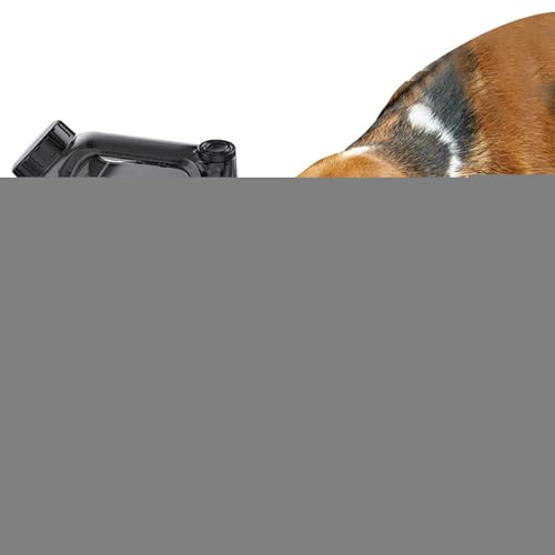 Teksome Trinkflasche Für Hunde | Camping Trinkbehälter Für Haustiere | Große Füllmenge Hundewasserflasche Für Reisen Outdoor Wandern Und Unterwegs von Teksome
