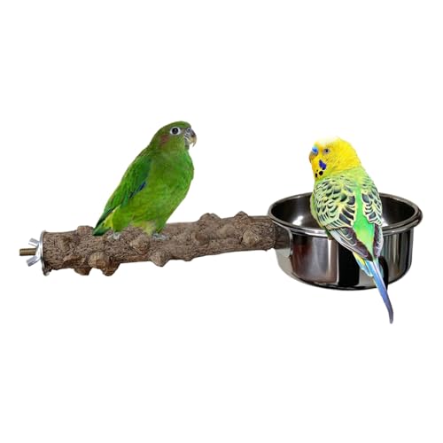 Teksome Vogelsitzstange mit Futterschale | Vogelkäfig Sitzstange aus | Integriertes Design Fütterungswerkzeug für Nymphensittiche, mittelgroße , Wellensittiche, Sittiche von Teksome