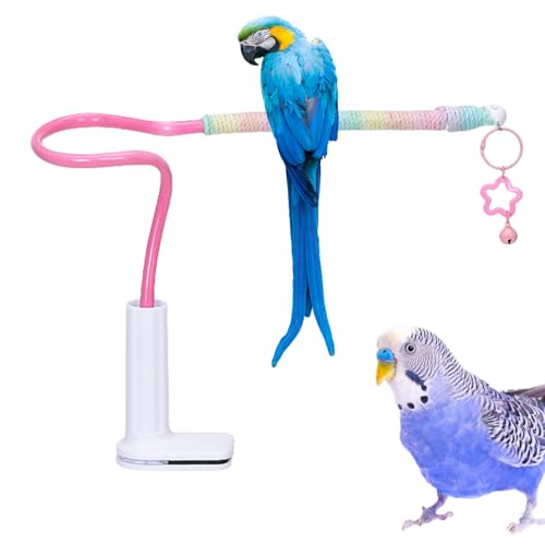 Teksome Vogelstände | Vogel Trainings Sitzstange,Nymphensittich Spielzeug mit Glocke, rutschfeste Trainingsaccessoires für Wellensittichkäfig & Innenspielbereich Teksome Vogelstände | Vogel Trainings Sitzstange,Nymphensittich Spielzeug mit Glocke, rutschfeste Trainingsaccessoires für Wellensittichkäfig & Innenspielbereich von Teksome