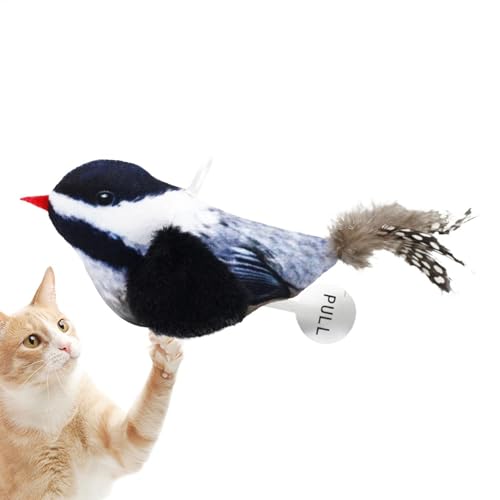 Teksome Zwitschern Vogel Katzenspielzeug - Interaktives Federspielzeug Vögel Quietschender Sound Kätzchen Spielzeug - Zwitschern Vogel Katzenspielzeug Quietschender Federschwanz für Katze, Hund, Teksome Zwitschern Vogel Katzenspielzeug - Interaktives Federspielzeug Vögel Quietschender Sound Kätzchen Spielzeug - Zwitschern Vogel Katzenspielzeug Quietschender Federschwanz für Katze, Hund, von Teksome