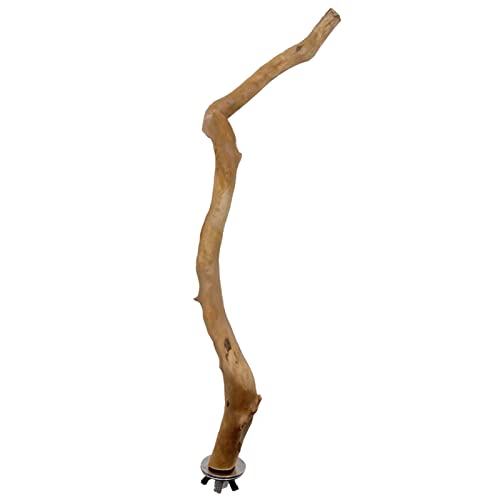 Vogel-Sitzstange – Papageien-Stange, Spielzeug | Vogelzubehör für kleine Vögel, Wellensittiche, Nymphensittiche, Sittiche, Geschenke Teksome Vogel-Sitzstange – Papageien-Stange, Spielzeug | Vogelzubehör für kleine Vögel, Wellensittiche, Nymphensittiche, Sittiche, Geschenke Teksome von Teksome