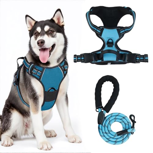 Strapazierfähiges Hundegeschirr für große Hunde, kein Ziehen, verstellbare Anti-Zug-Weste mit reflektierendem gepolstertem Griff, ausbruchsicheres Design und einfache Kontrolle für Spaziergänge und Strapazierfähiges Hundegeschirr für große Hunde, kein Ziehen, verstellbare Anti-Zug-Weste mit reflektierendem gepolstertem Griff, ausbruchsicheres Design und einfache Kontrolle für Spaziergänge und von Tel Charme *