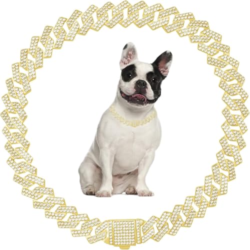 Goldfarbene Hundehalsbänder für kleine Hunde, glitzernde Diamanten, kubanische Glieder-Hundehalsband, Strass-Katzenkette, glitzernd, Mädchen, weiblich, Kätzchen, Welpen, Hunde, Halskette für kleine von Teleyi