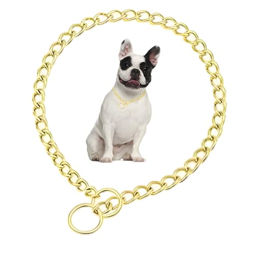 Goldfarbene Hundeketten, Metall, Martingale-Hundehalsband, Training, strapazierfähig, für männliche Jungen, für weibliche Mädchen, Welpenhalsbänder für XXS, XS, S, M, L, große Rassen von Teleyi
