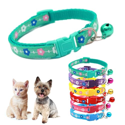 Grünes XXS Hundehalsband mit Glöckchen, Blumen-Katzenhalsband, Mädchen, niedlich, ausgefallenes Welpenhalsband mit Glöckchen, für XXS, XS, kleines Kätzchen, Haustier, Hündinnen, Halsumfang 17,8 - 30,5 von Teleyi