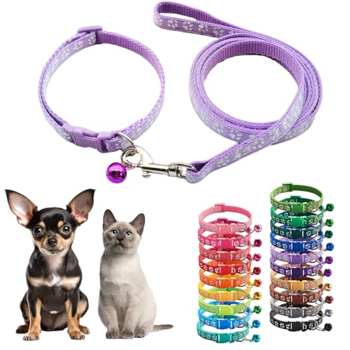 Halsband und Leine für kleine Katzen, Set mit Glöckchen, violettes Nylon, Pfotenhalsband, Mädchen, weiblich, niedlich, ausgefallenes Welpenhalsband mit Glöckchen, für XXS, XS, kleine Kätzchen, Jungen, von Teleyi