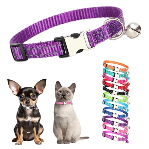 Hundehalsband für kleine Hunde mit Glöckchen, reflektierendes Katzenhalsband mit Glöckchen, Metallschnalle, Nylon, Welpenhalsband mit Glöckchen, für XXS, XS, kleine Kätzchen, Junge, Haustiere, Hunde, von Teleyi
