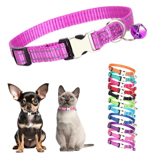 Hundehalsband für kleine Hunde mit Glöckchen, reflektierendes Katzenhalsband mit Glöckchen, Metallschnalle, Nylon, Welpenhalsband mit Glöckchen, für XXS, XS, kleine Kätzchen, Junge, Haustiere, Hunde, von Teleyi