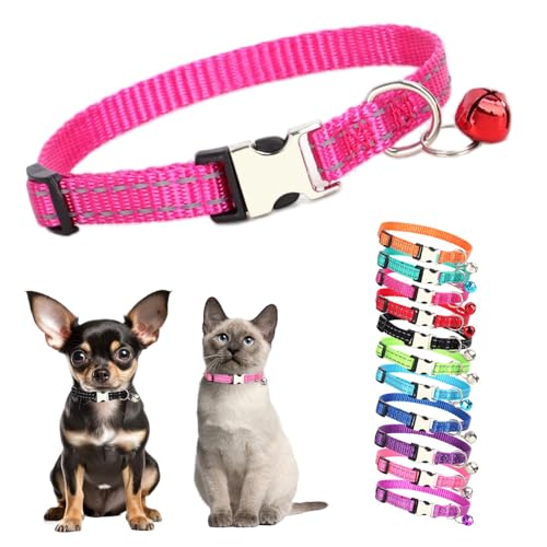 Hundehalsband mit Glöckchen, reflektierendes Katzenhalsband mit Glöckchen, Metallschnalle, Nylon, mit Glöckchen, für XXS, XS, kleine Kätzchen, Jungen, Haustiere, Hunde, 19,1 - 27,9 cm, Hot Pink von Teleyi