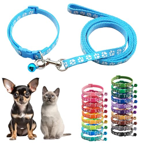 Hundehalsband und Leine, Set mit Glöckchen, blaues Nylon, Pfotenhalsband, Mädchen, weiblich, niedlich, ausgefallenes Welpenhalsband mit Glöckchen, für XXS, XS, kleine Kätzchen, Jungen, Haustiere, von Teleyi
