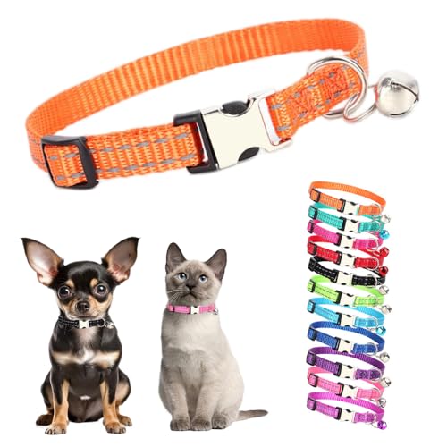 Orange kleines Katzenhalsband mit Glöckchen, reflektierendes Hundehalsband mit Glöckchen, Metallschnalle, für Mädchen, weiblich, Nylon, Welpenhalsband mit Glöckchen, für XXS, XS, kleines Kätzchen, von Teleyi